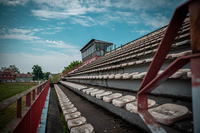 了她的比赛 了她的比赛