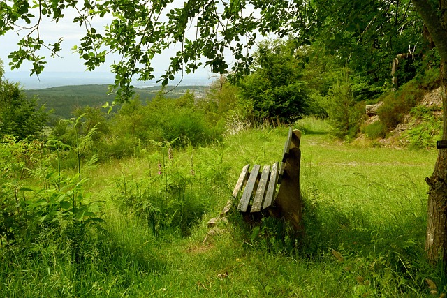 渴望成为继 渴望成为继