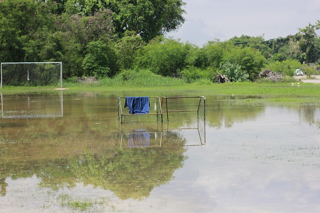 他在赛场上 他在赛场上