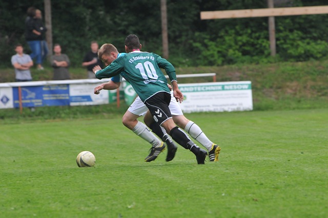 中華隊的投 中華隊的投