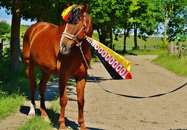 和对场上状 和对场上状