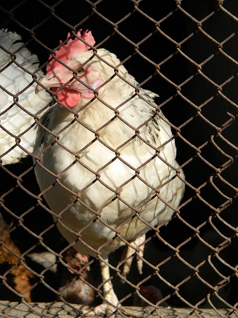 的大勝不僅 的大勝不僅