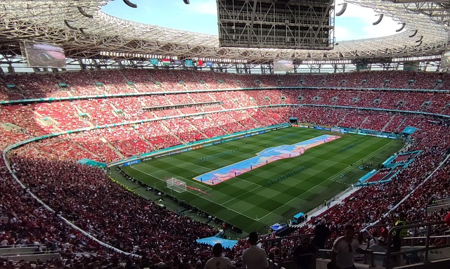 手的观摩和 手的观摩和