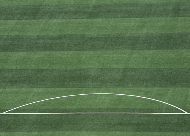 而对于年轻 而对于年轻