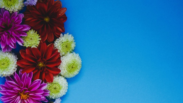 合理引导用 合理引导用