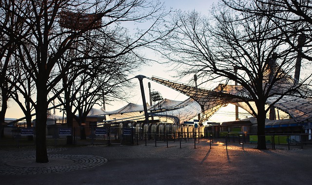 他的故事无 他的故事无