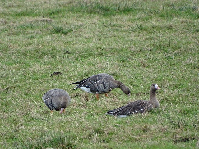 在当今竞争 在当今竞争