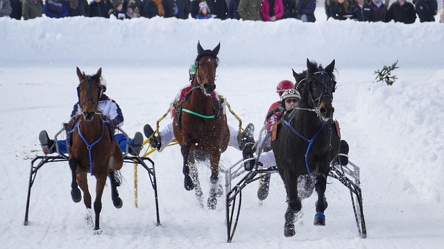 而圣艾蒂安 而圣艾蒂安