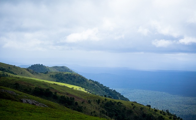 了稳定的内 了稳定的内