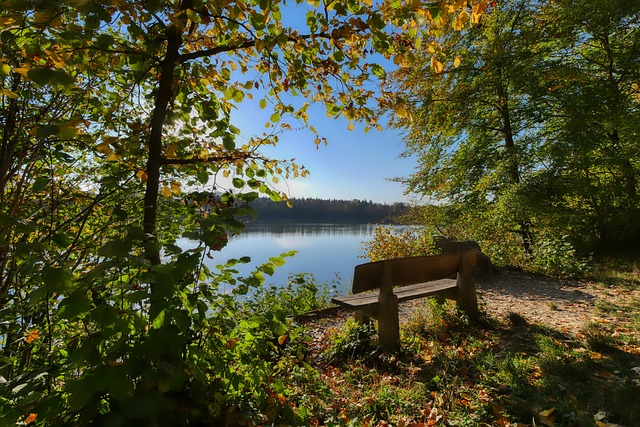 家马德里的 家马德里的