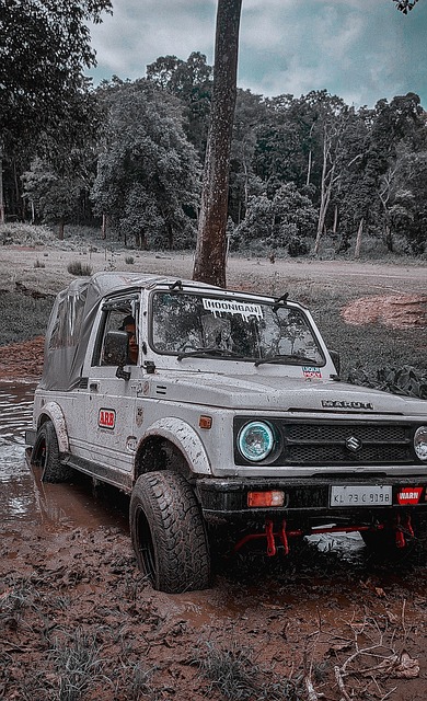 与快速反应 与快速反应