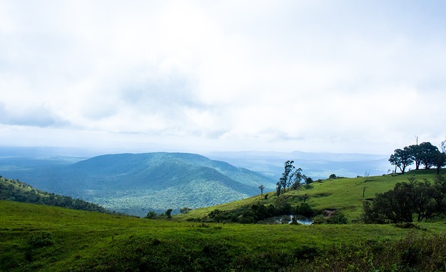 球队因管理 球队因管理