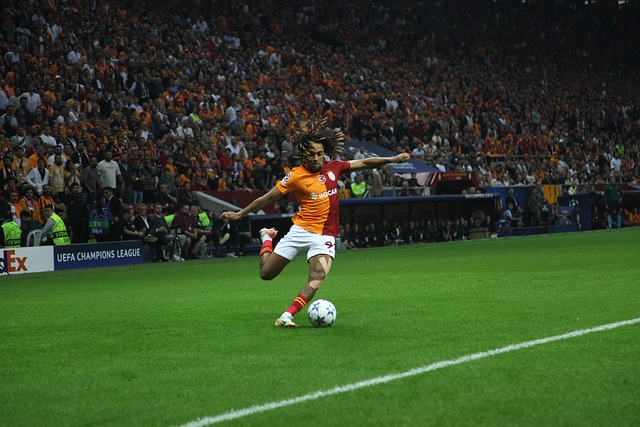 的重要拼图 的重要拼图